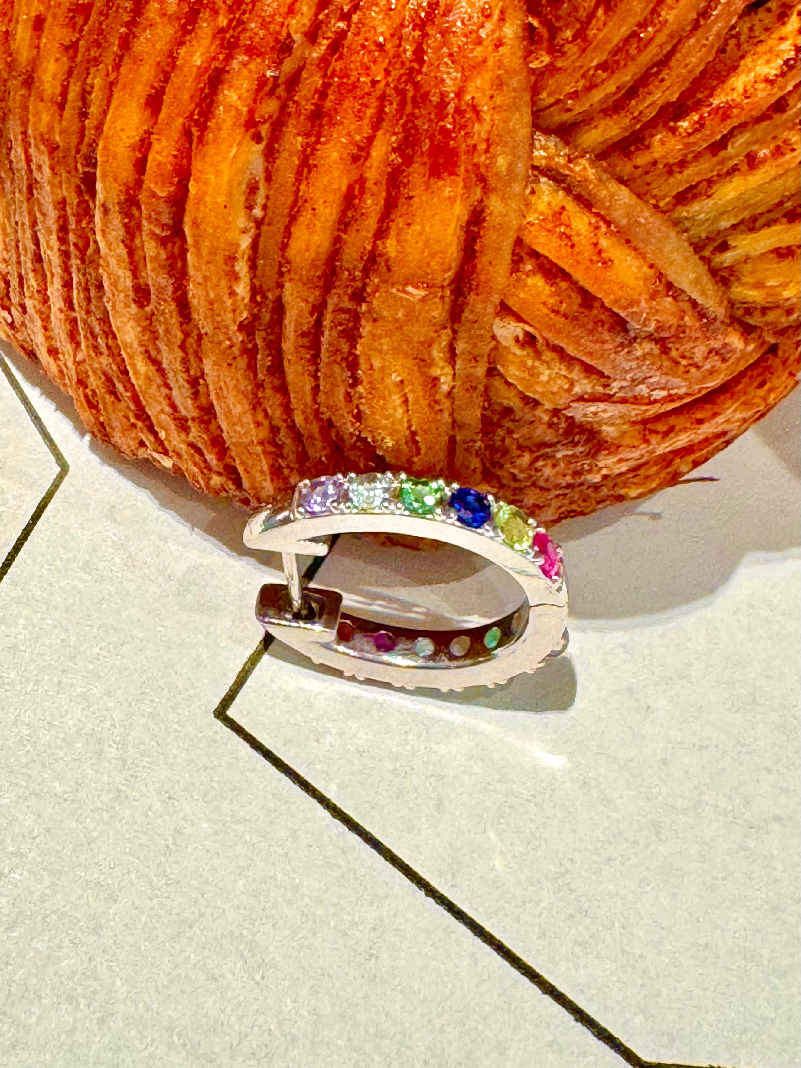 Rainbow Hoop Earring