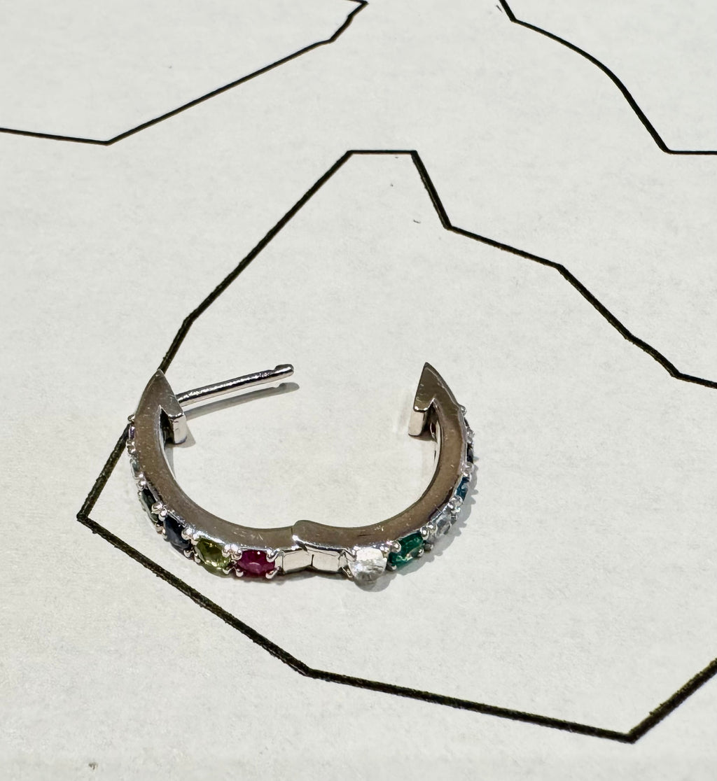 Rainbow Hoop Earring
