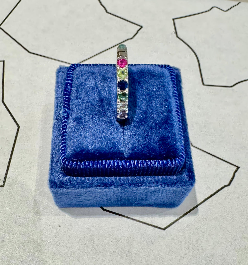 Rainbow Hoop Earring