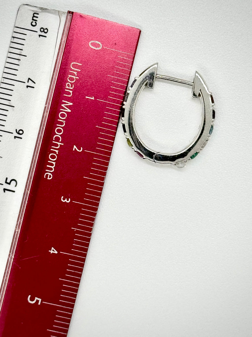 Rainbow Hoop Earring