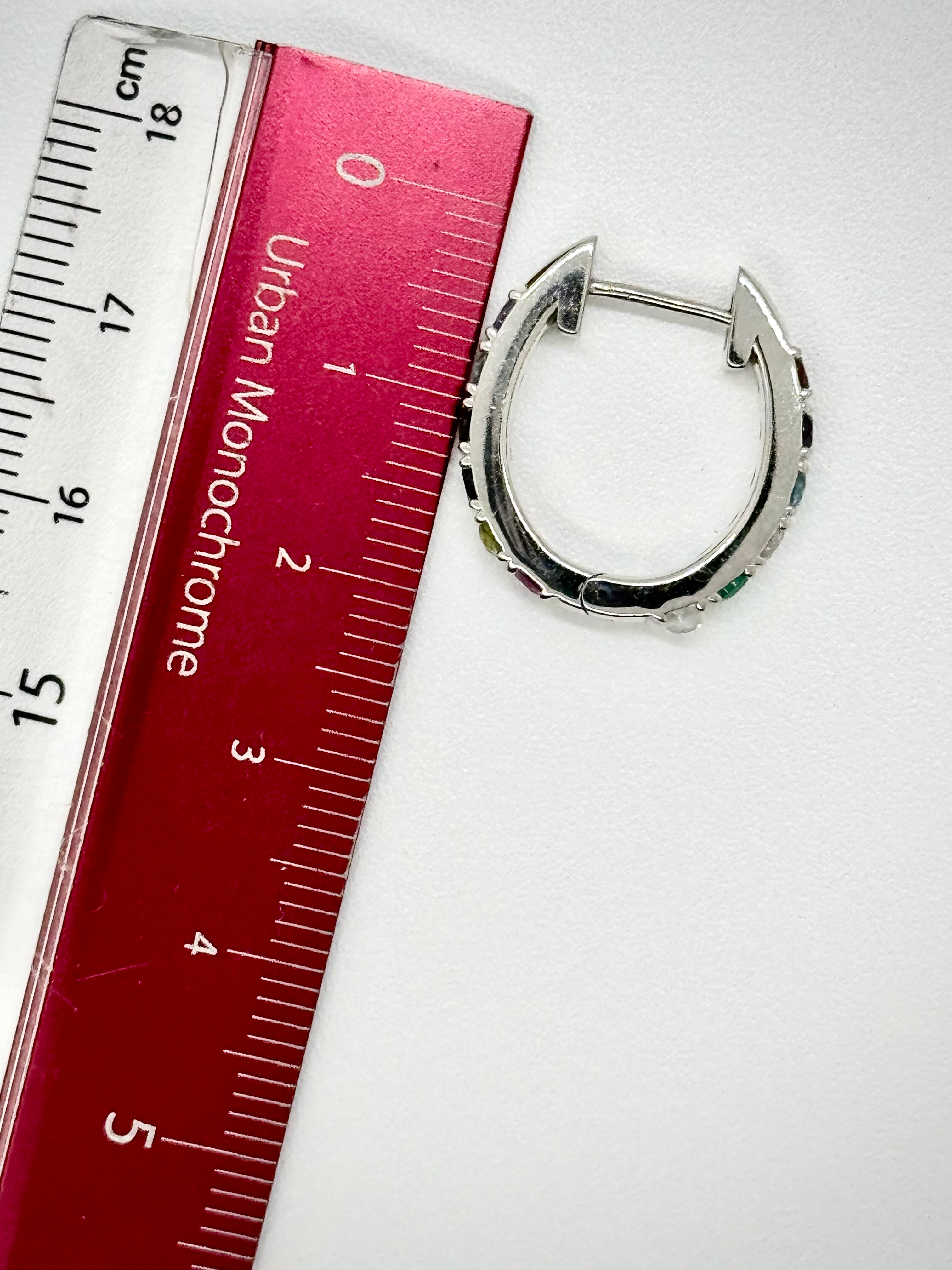 Rainbow Hoop Earring