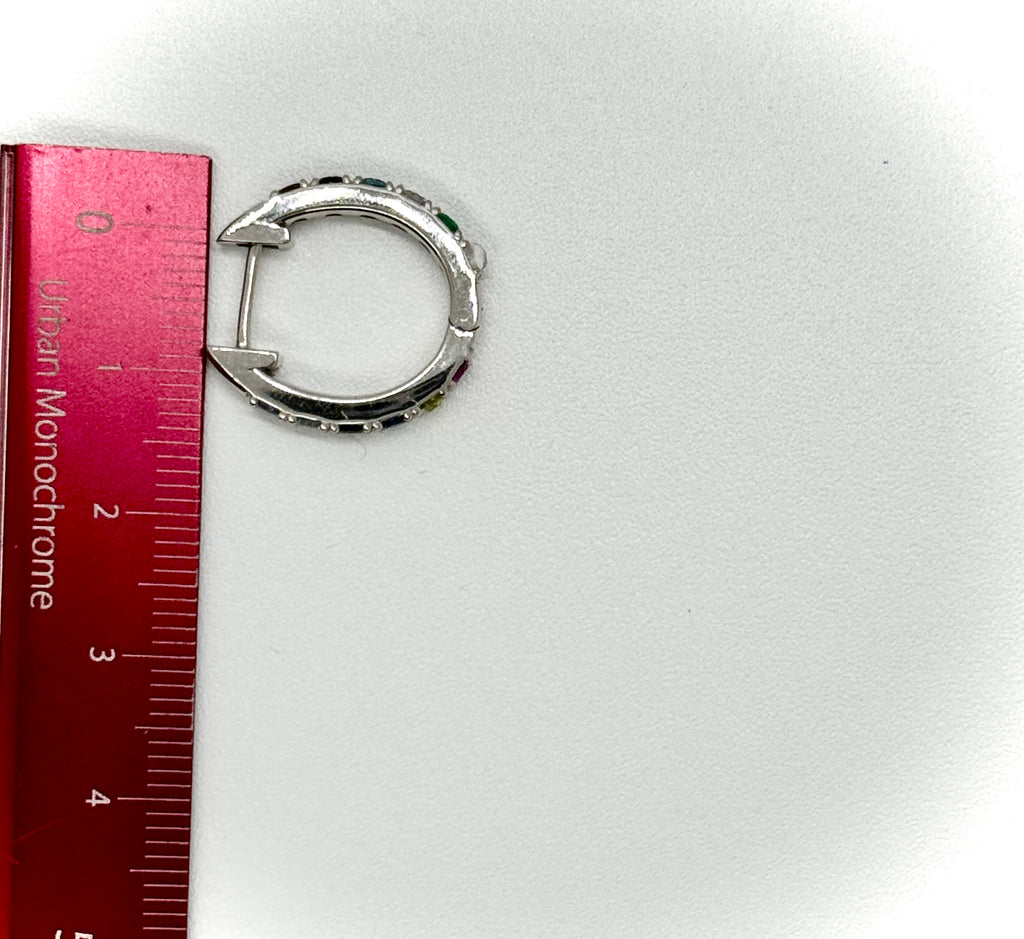 Rainbow Hoop Earring
