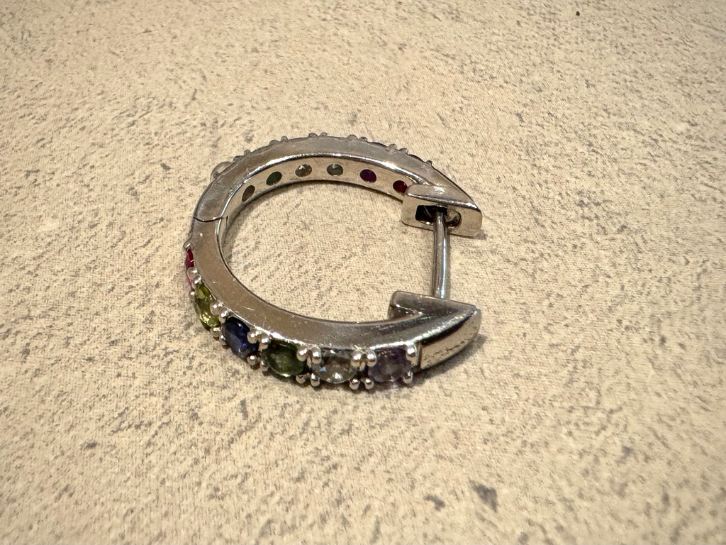 Rainbow Hoop Earring