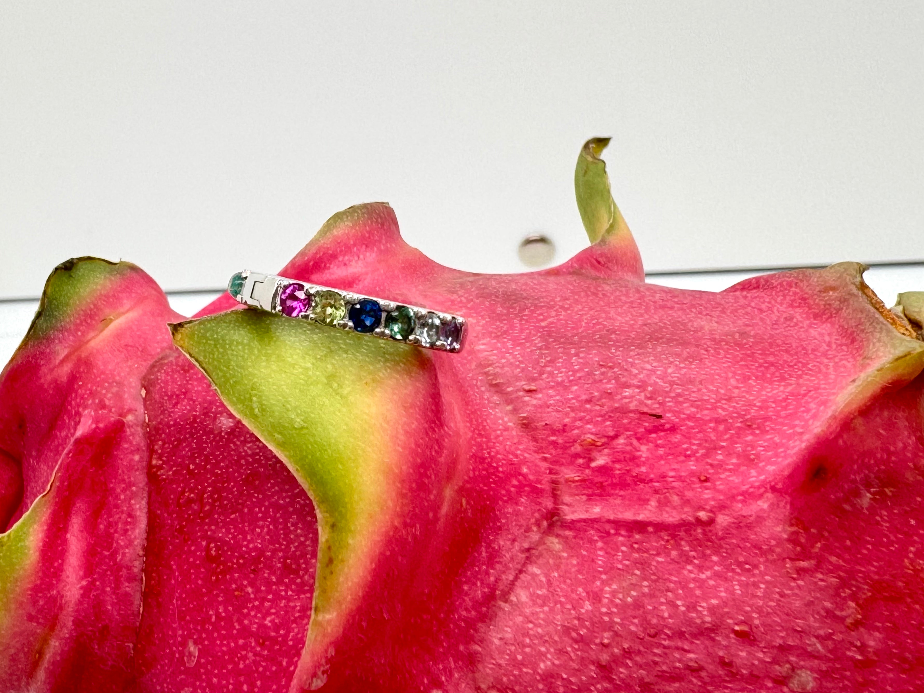 Rainbow Hoop Earring