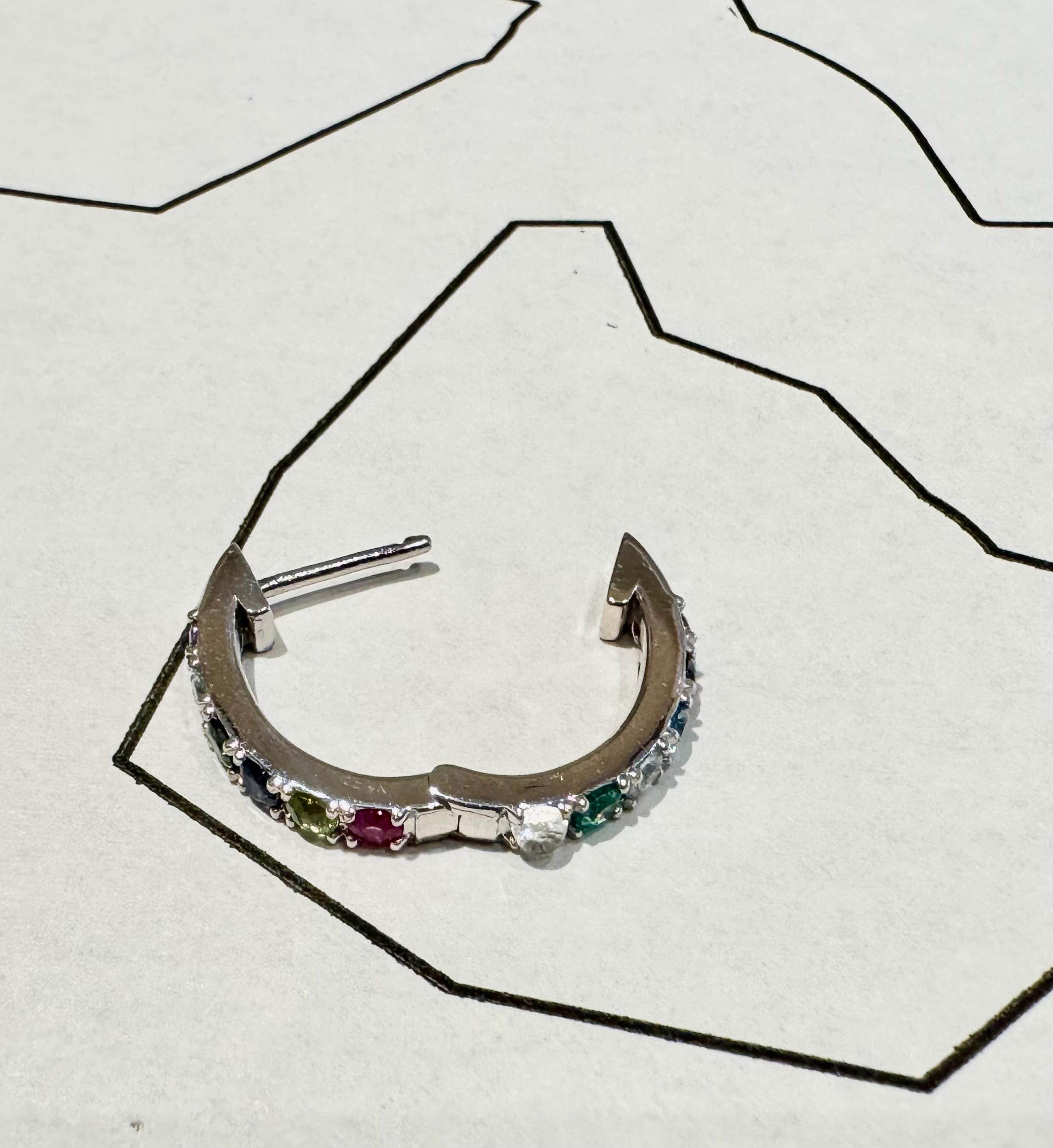 Rainbow Hoop Earring