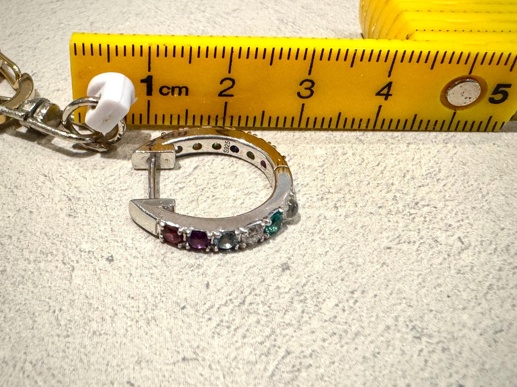 Rainbow Hoop Earring